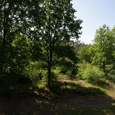Heideparadies-2